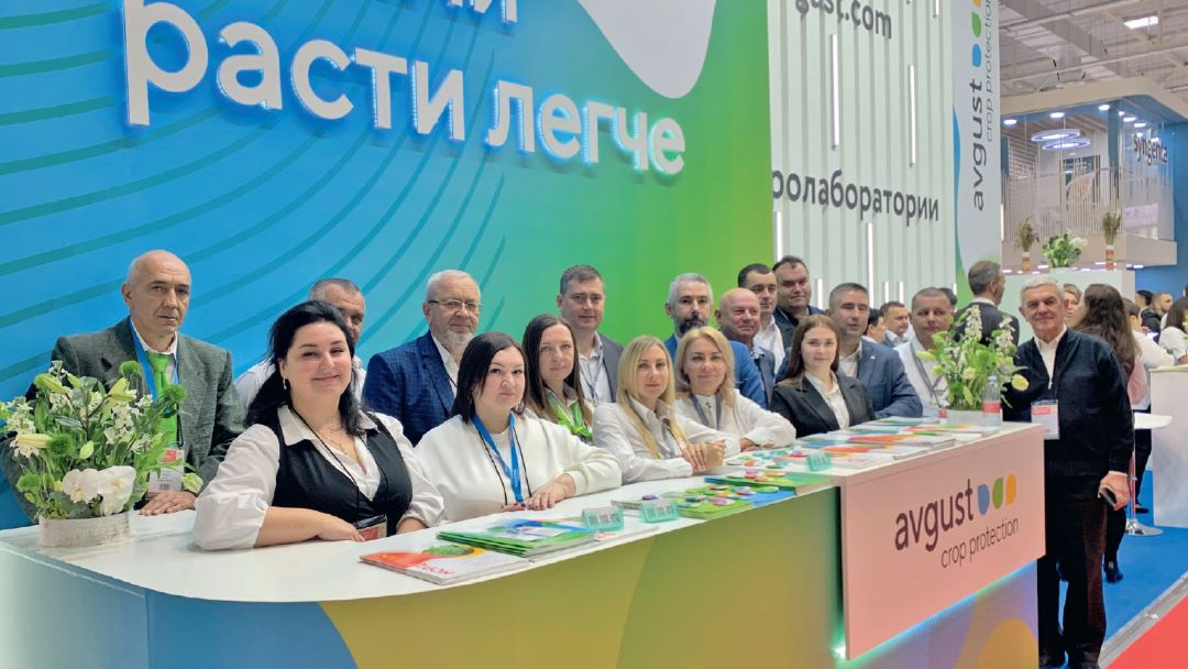 Команда краснодарского представительства «Августа»