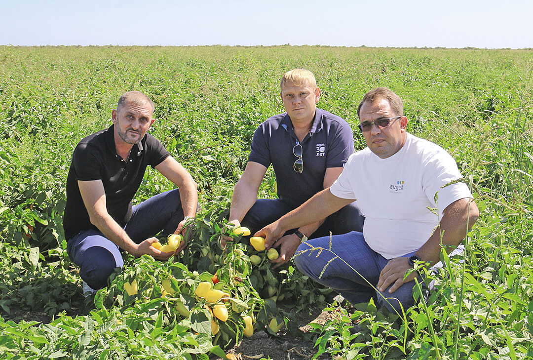 Э. Т. Алиев на своем поле с сотрудниками астраханского представительства «Августа» А. В. Абакумовым и Д. В Толстовым 