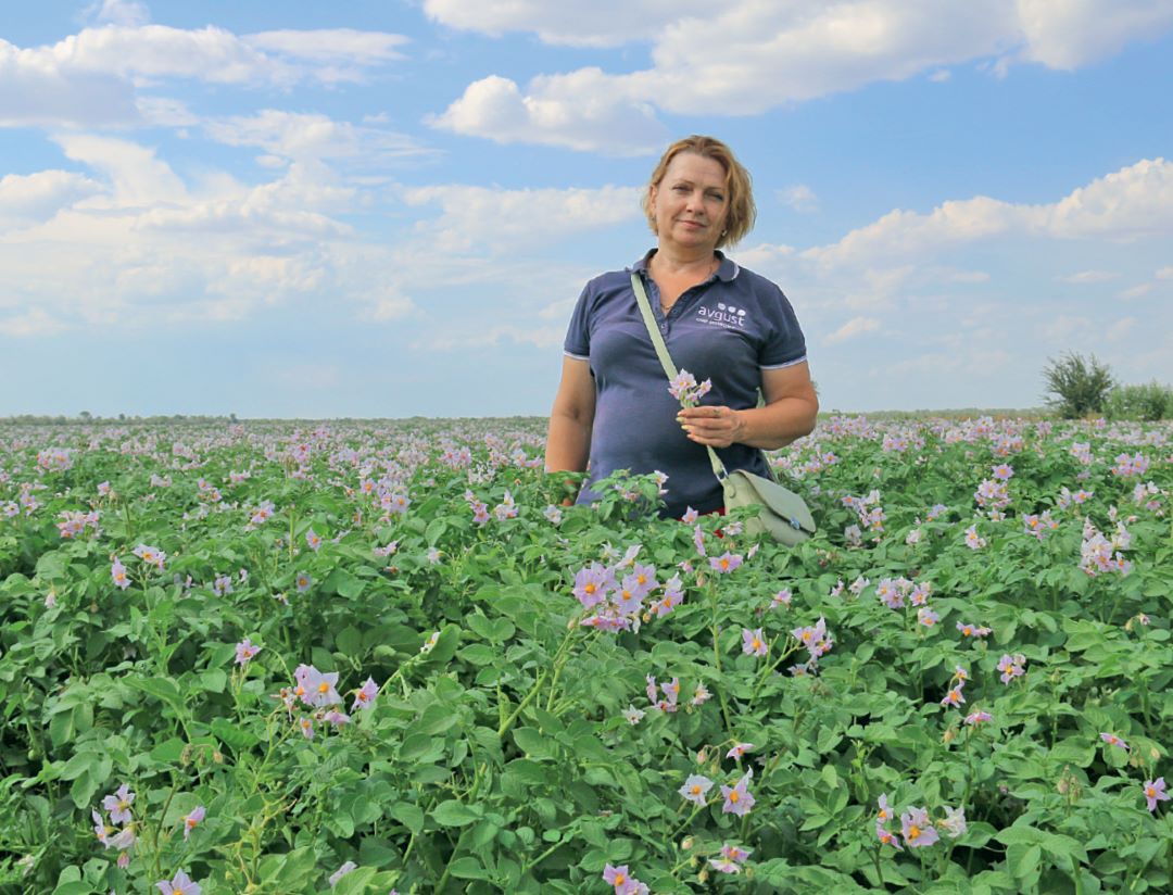 И. И. Ряснова И. И. Ряснова