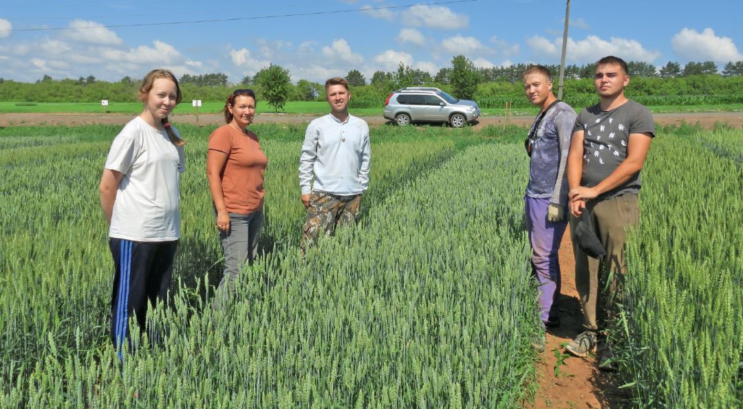 Ведущий научный сотрудник УдмФИЦ А. Г. Курылева (вторая слева) на опытных делянках в «Первомайском»