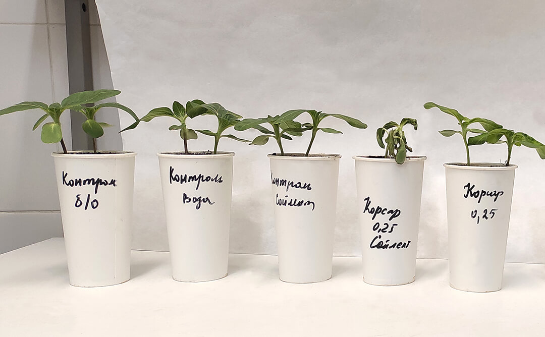 повышает эффективность ХСЗР 