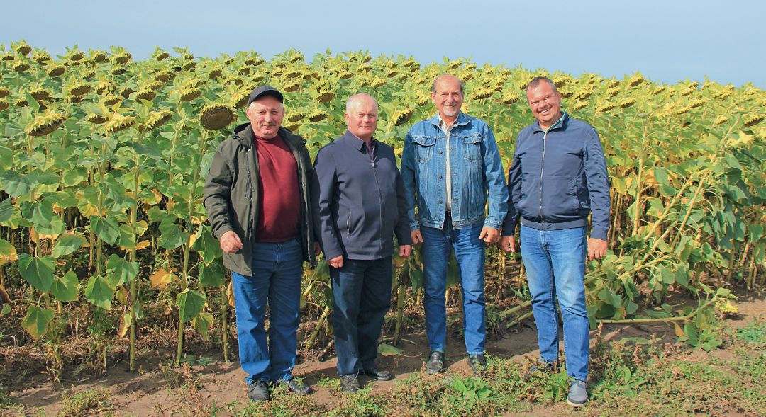 Слева направо: А. Григораш, В. Косач, Ю. Усачев и С. Капустин на поле подсолнечника