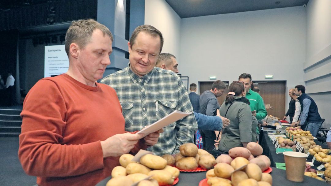 На ярмарке семян картофеля, состоявшейся в рамках семинара «Августа»