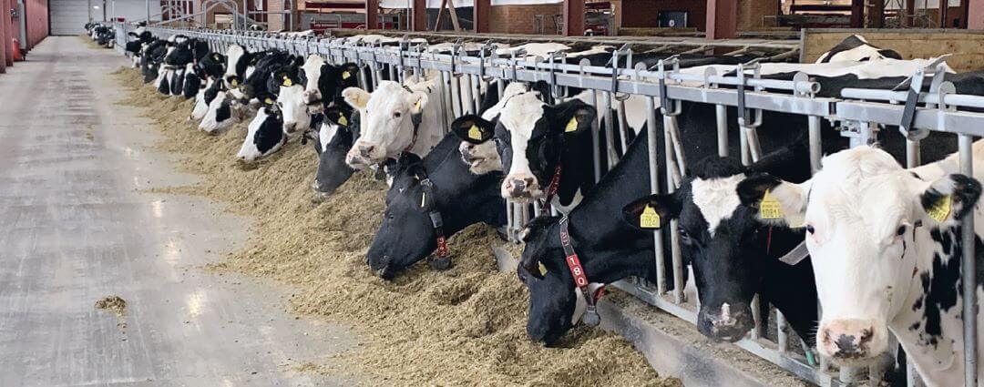 В МТК «Уразметьево» В МТК «Уразметьево»