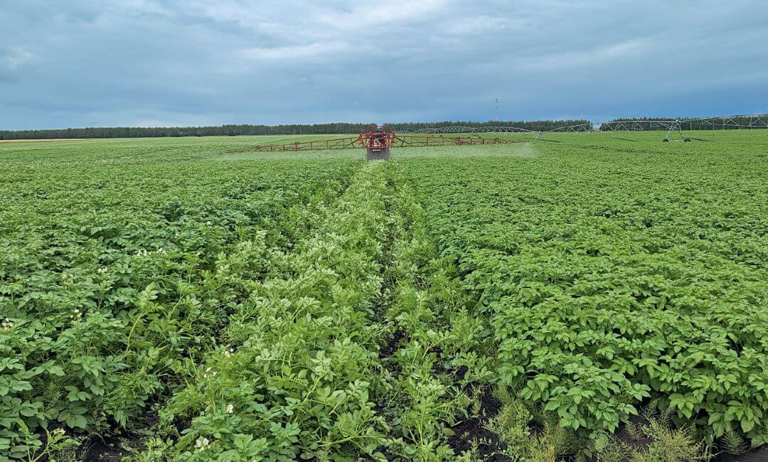 Нижегородская область. 