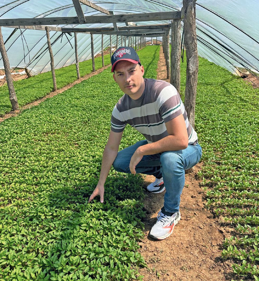 А. С. Колобов