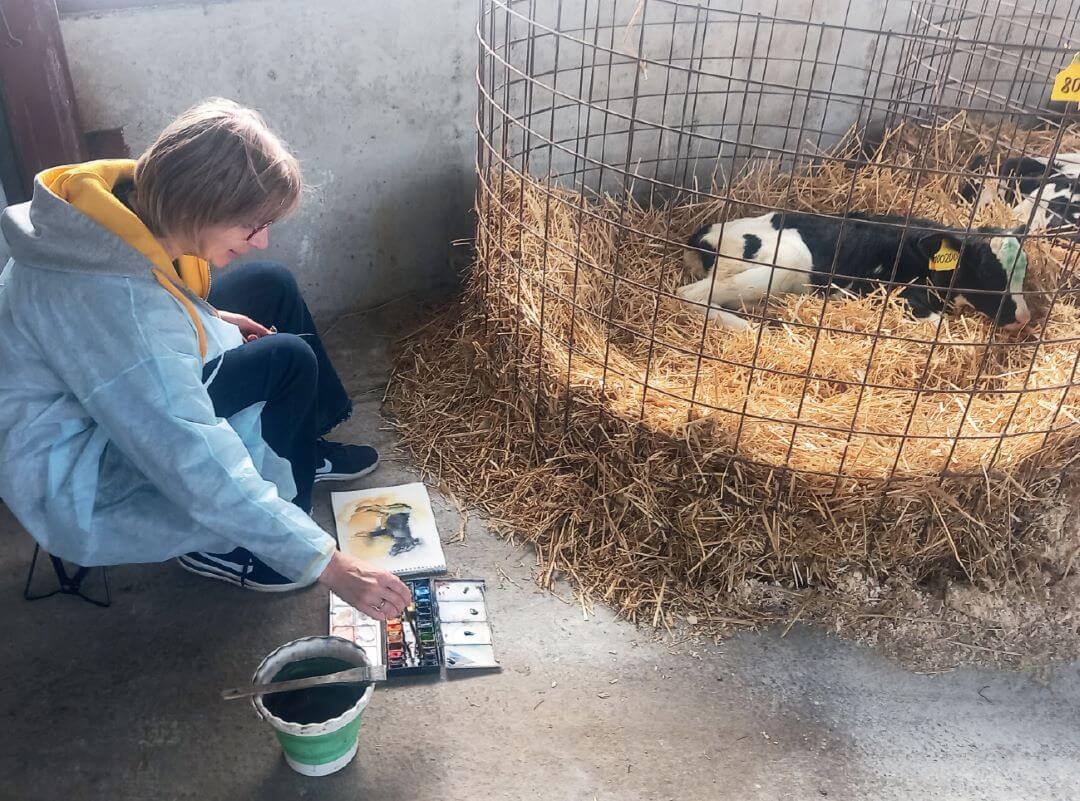 Позируют буренки