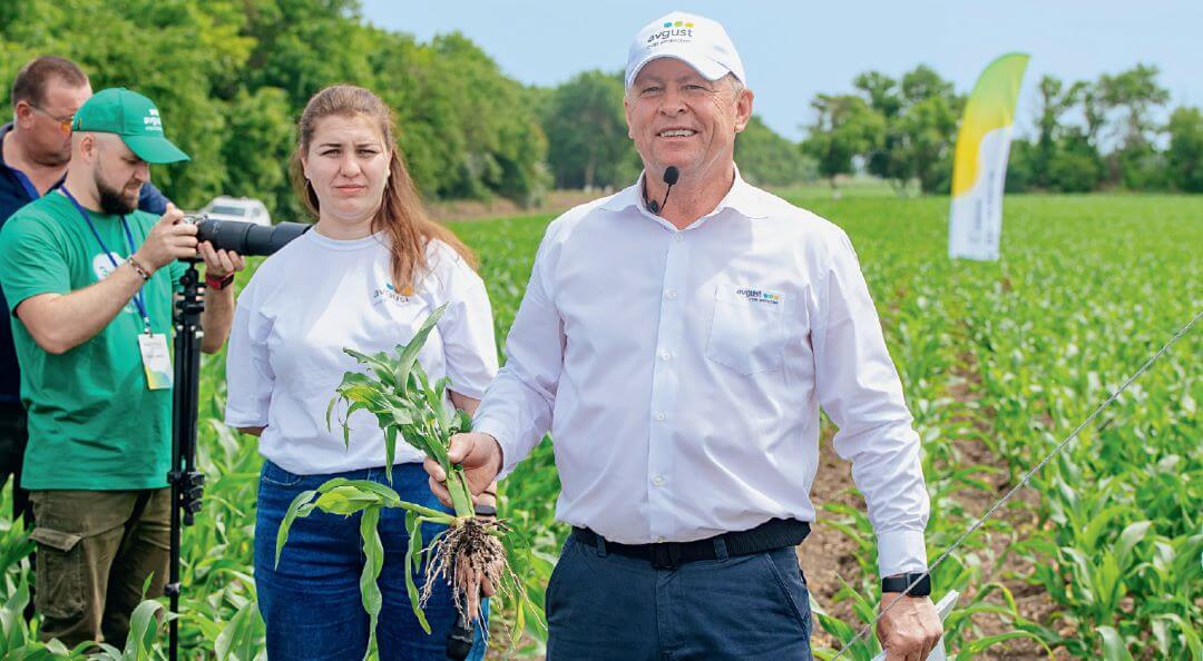 Игорь Гридин комментирует эффективность гербицидной защиты кукурузы