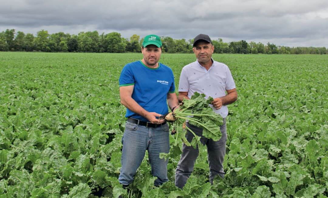 Мухтар Мхце и Алик Черкесов на свекольном поле