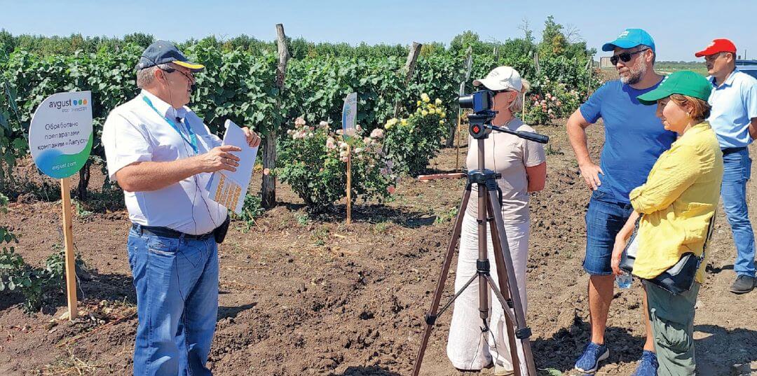 Встречи на полях