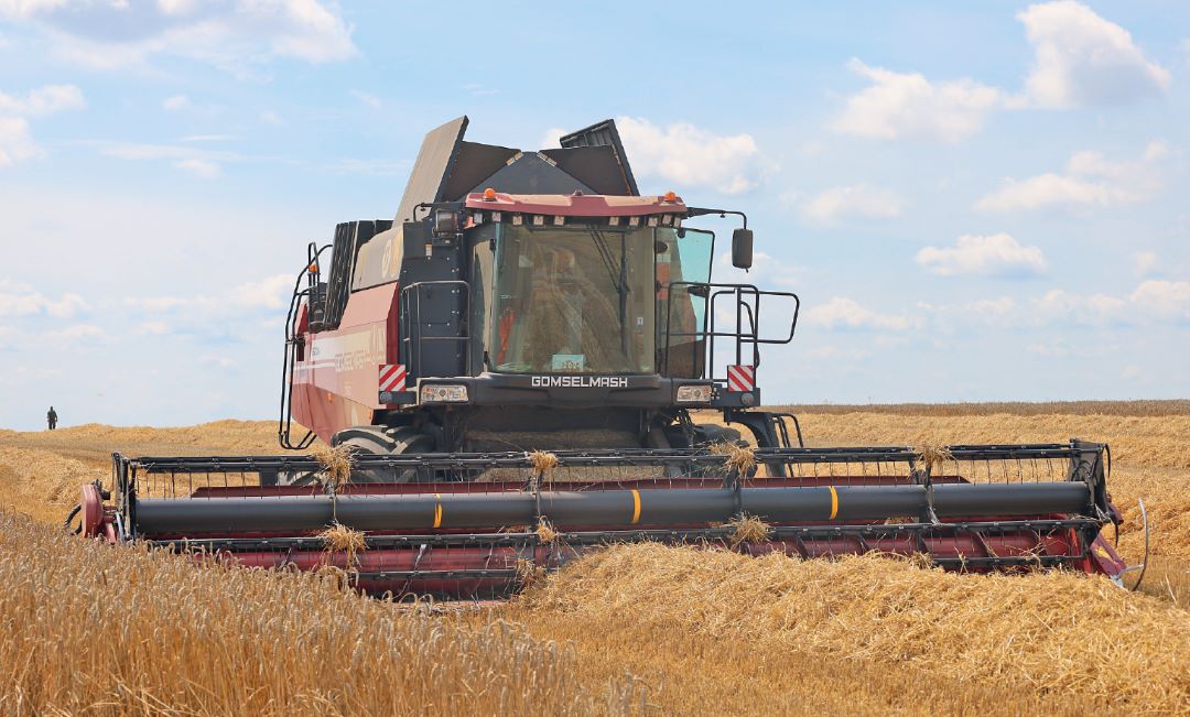 Уборка зерновых в ОАО «Журавлиное» в сезоне-2024