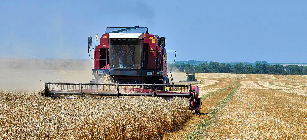 Компания «Август» подвела итоги прошлого года по сельскохозяйственному направлению бизнеса (под управлением УК «Август-Агро»), обозначила планы по развитию инвестиционных проектов, завершенных в отчетный период, а также выделила ключевые факторы, которые 
