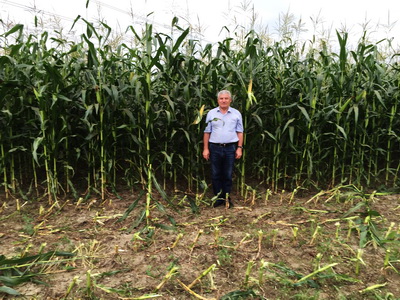 К No-till — с пониманием