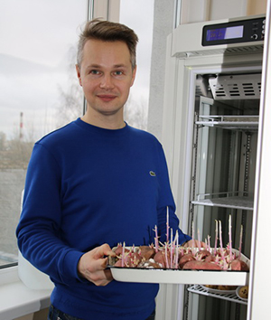 Чем болеет картофель