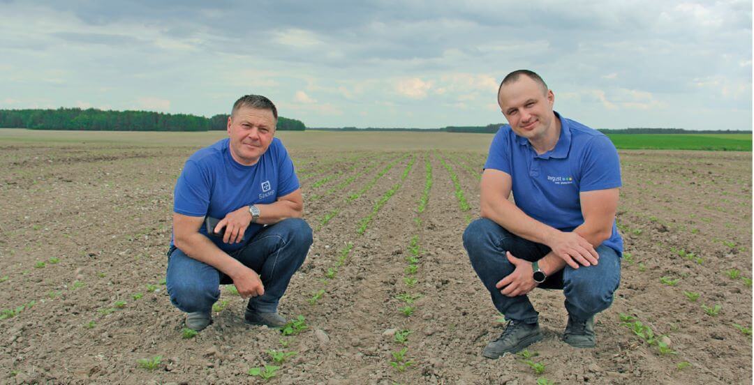 Как заработать на свекле и рапсе