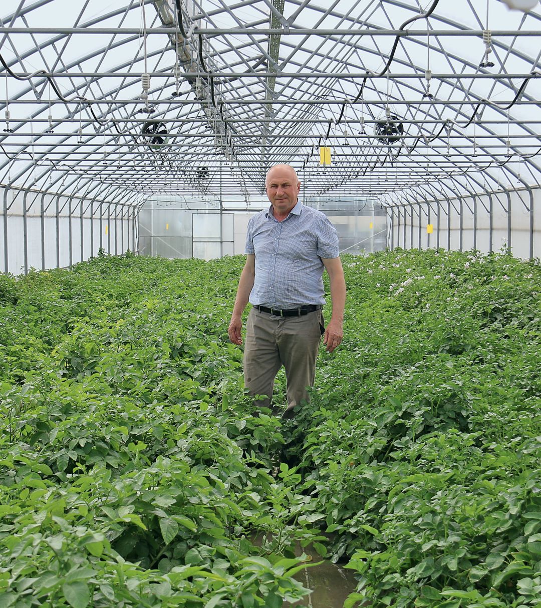 «Мы любим картофель»