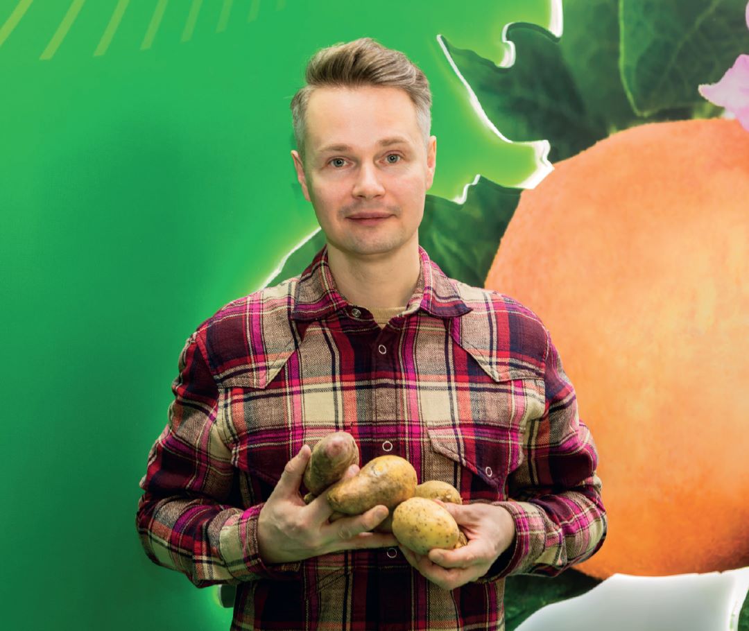 Сохраним картофель!