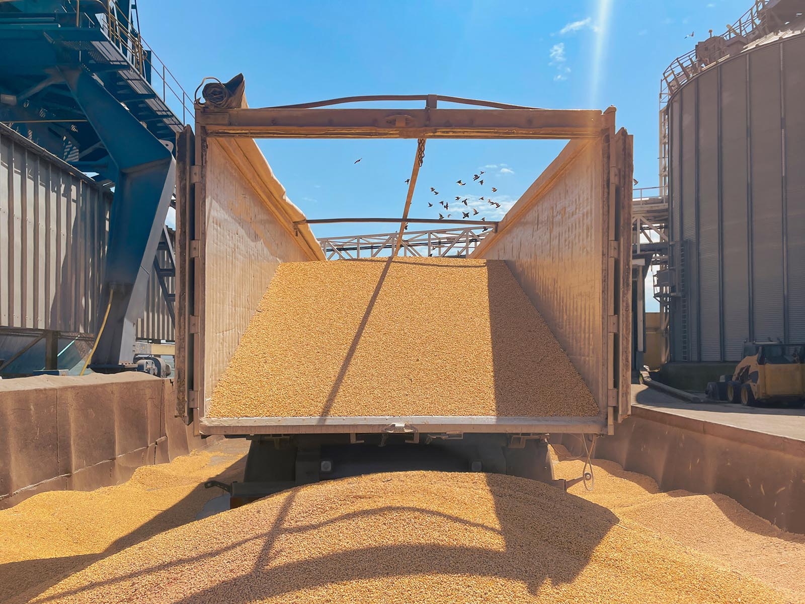 Экспорт сельхозпродукции из Татарстана вырос на 7%