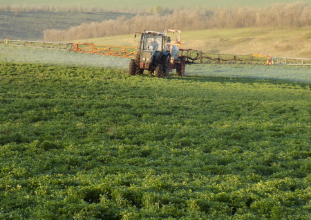 Как защищать люцерну?