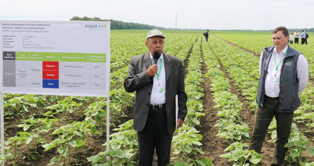 Защита подсолнечника: зачем платить больше?