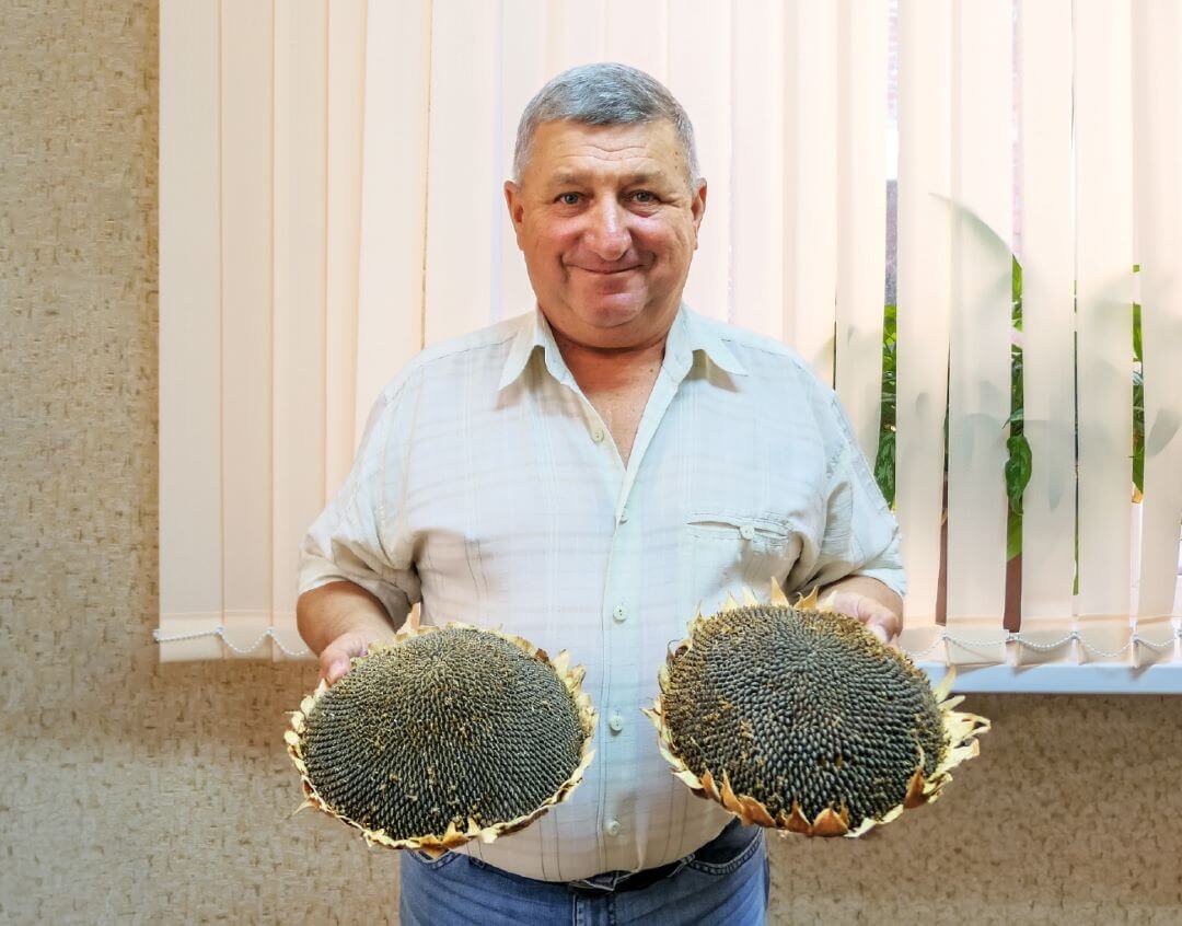 Приступили к импортозамещению