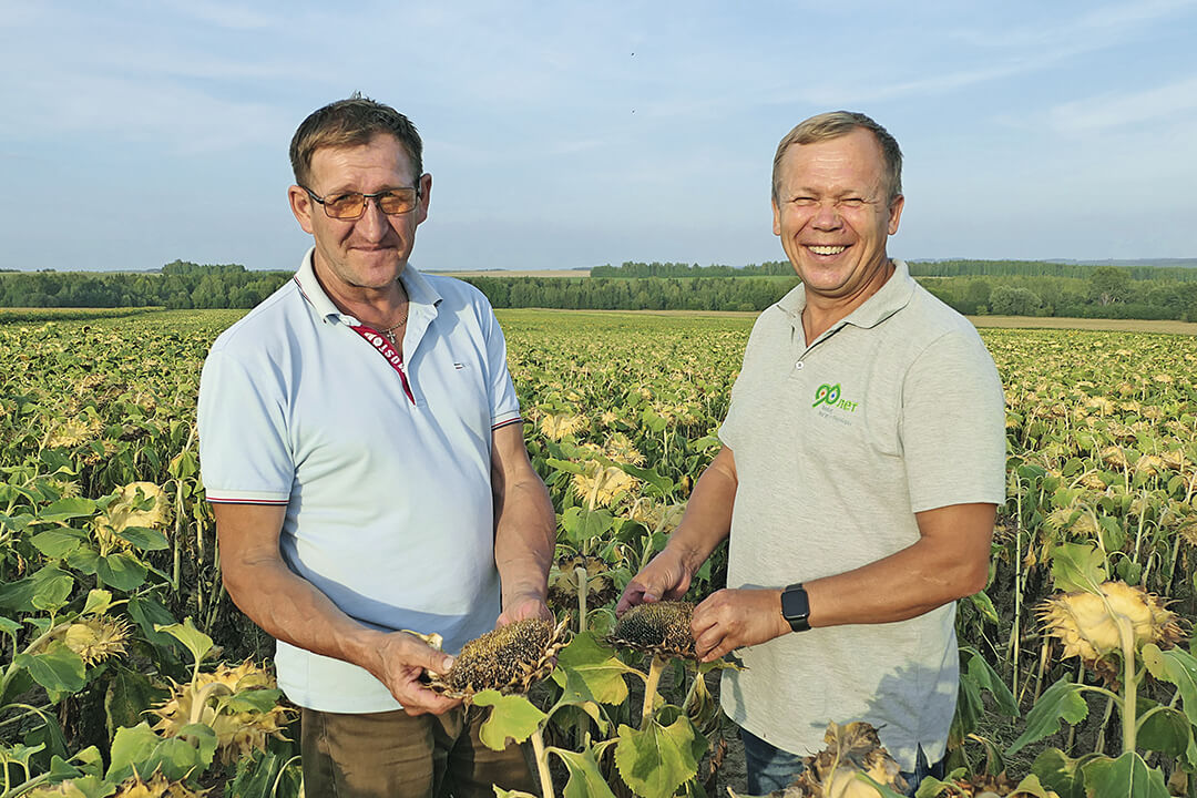 «Семечка» в Удмуртии