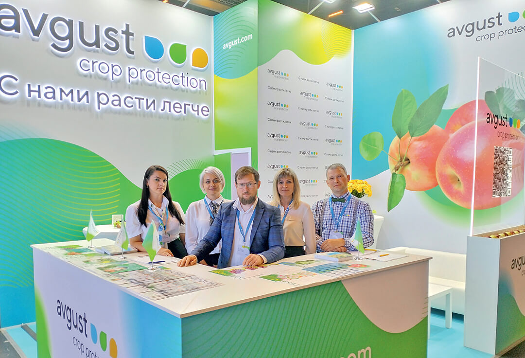 О яблоках и винограде