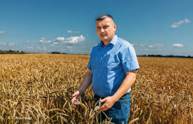 Синергия успеха