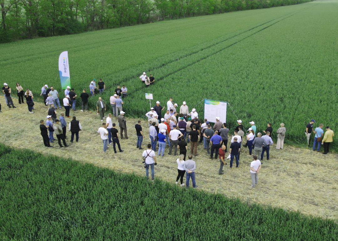 Дайджест мероприятий «Августа» в мае