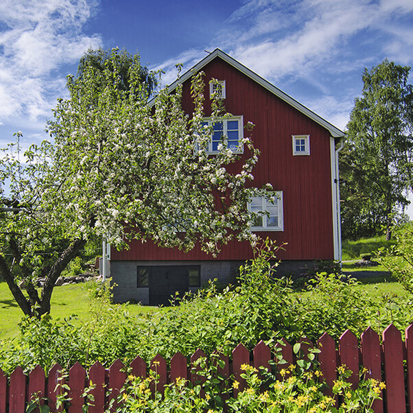 Средства защиты растений для садоводов и дачников