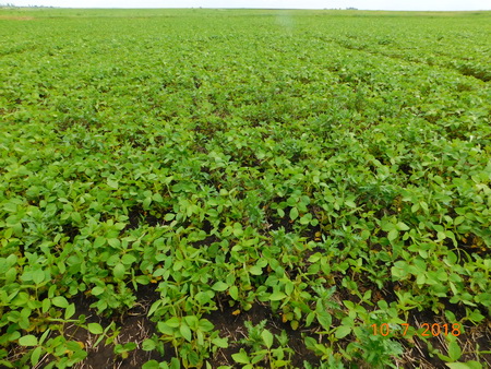 Надо менять взгляды на защиту!