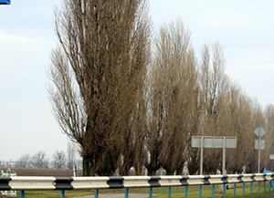 Как победить морозы?