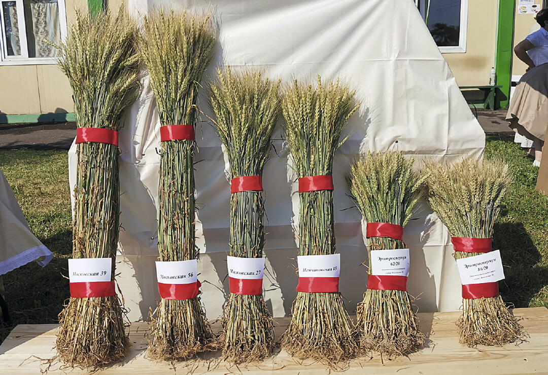 «Я верю в Московскую 27!»