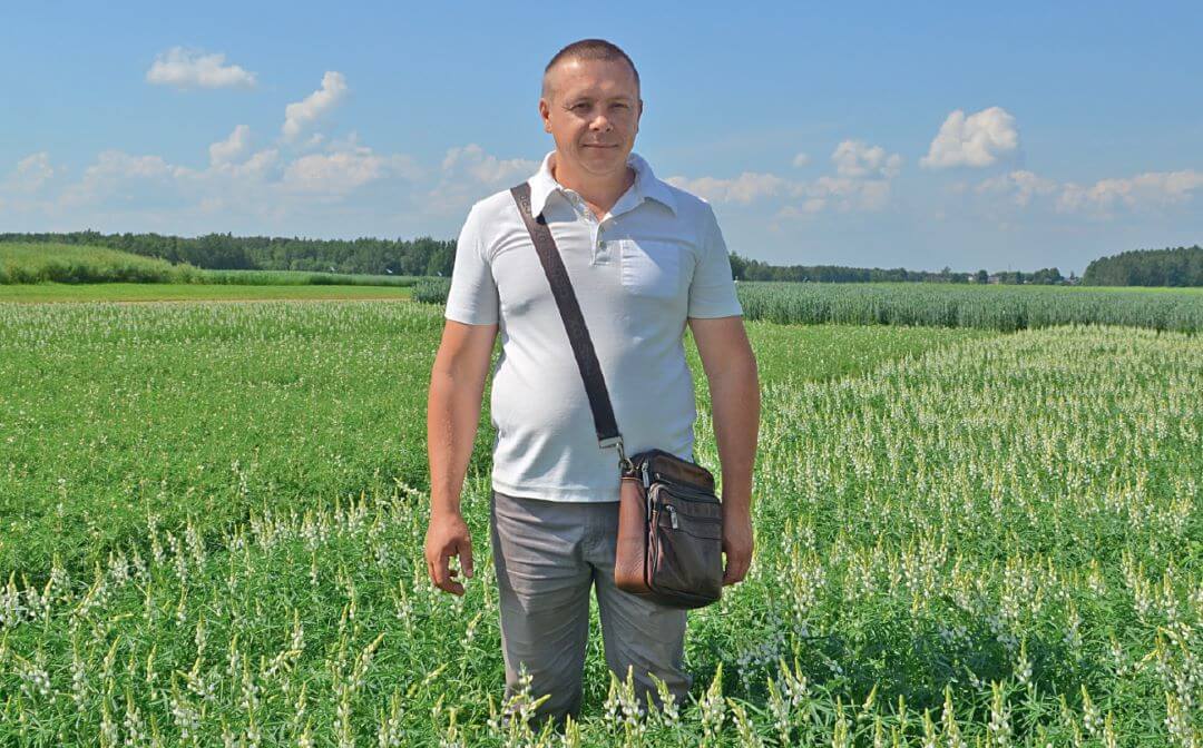 Бобовые в Беларуси