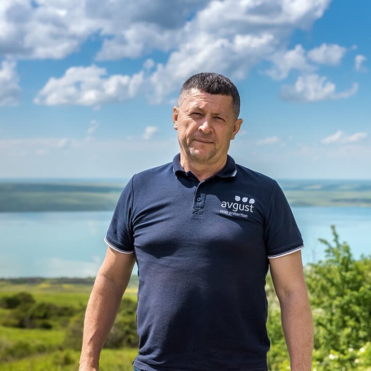 До и после посева