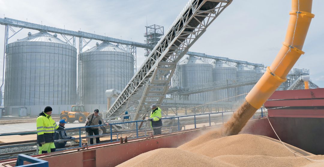 Зерно продаем напрямую