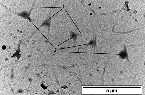 Микроскопия наноразмерных рецептурных форм